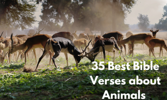 35 Best Bible Verses about Animals