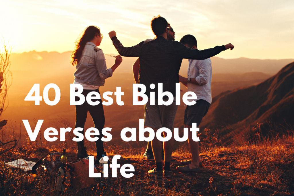 40 Best Bible Verses about Life