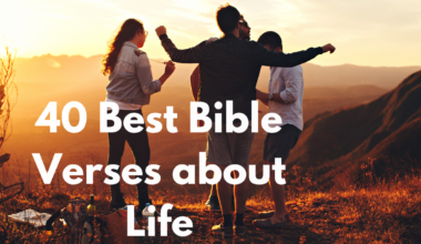 40 Best Bible Verses about Life