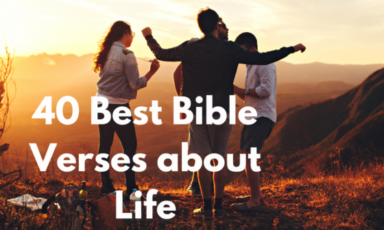 40 Best Bible Verses about Life