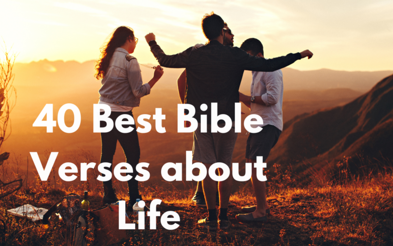 40 Best Bible Verses about Life