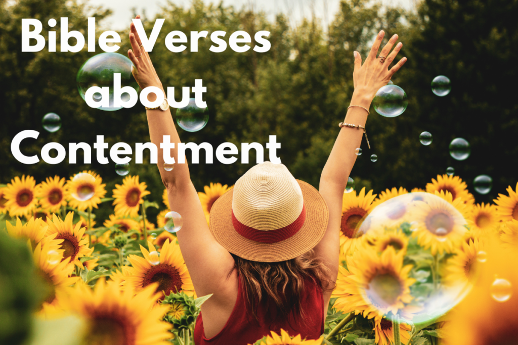 Bible Verses about Contentment