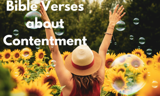 Bible Verses about Contentment