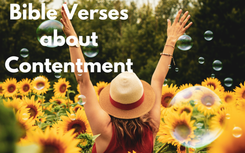 Bible Verses about Contentment