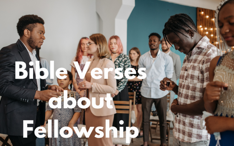 Bible Verses about Fellowship