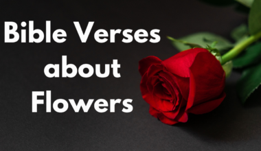 Bible Verses about Flowers