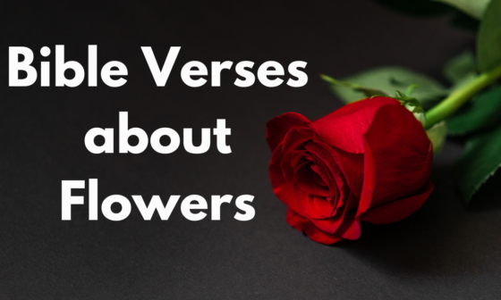 Bible Verses about Flowers