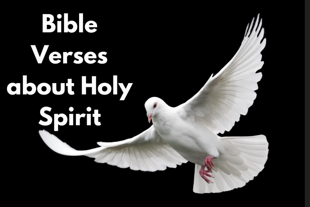 Bible Verses about the Holy Spirit