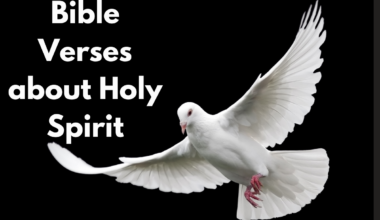 Bible Verses about the Holy Spirit