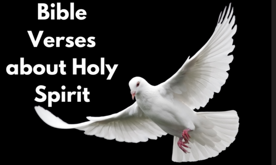 Bible Verses about the Holy Spirit