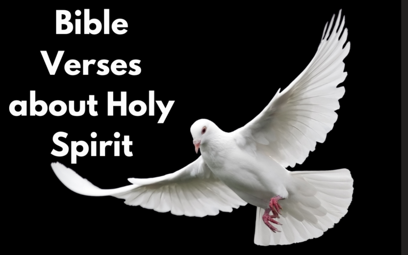 Bible Verses about the Holy Spirit