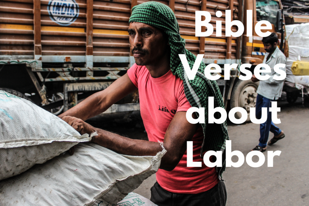 Bible Verses about Labor