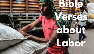 Bible Verses about Labor