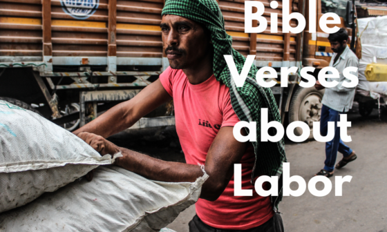 Bible Verses about Labor