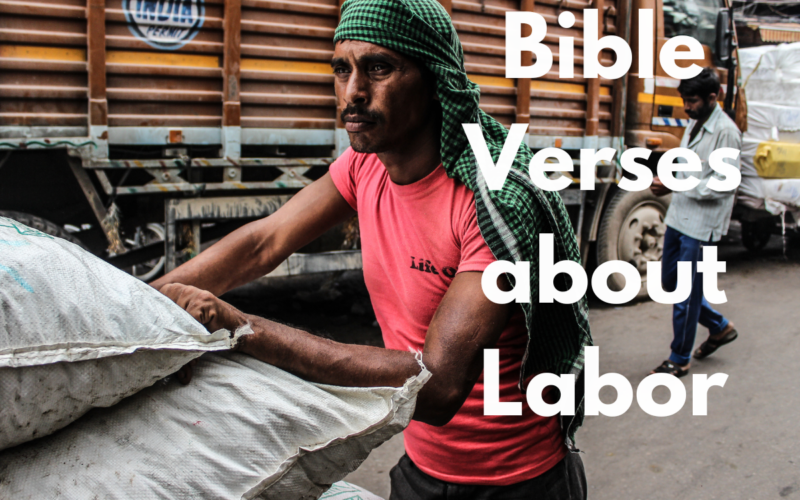 Bible Verses about Labor