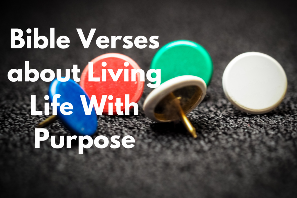 Bible Verses about Living Life With Purpose
