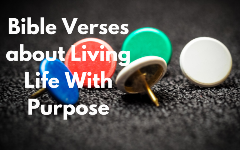 Bible Verses about Living Life With Purpose