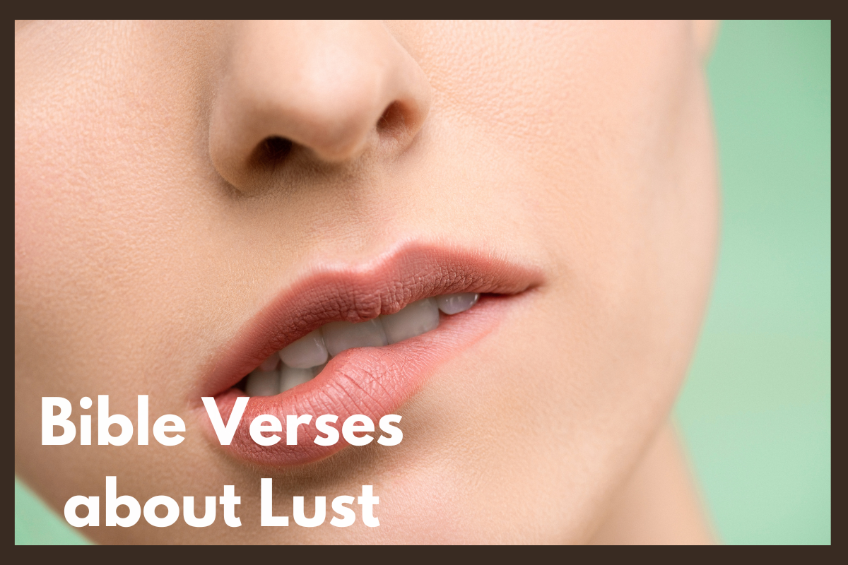 Bible Verses About Lust LoveFlocks bible-verses-about-lust-loveflocks