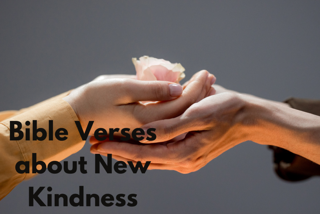 Bible Verses about New Kindness