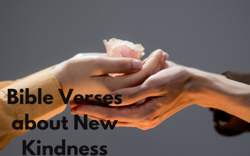 Bible Verses about New Kindness