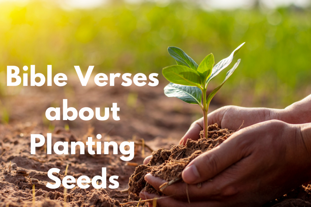 Bible Verses about Planting Seeds