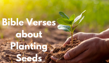 Bible Verses about Planting Seeds