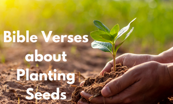 Bible Verses about Planting Seeds