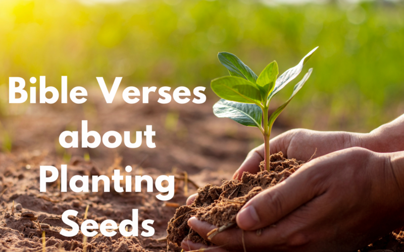 Bible Verses about Planting Seeds