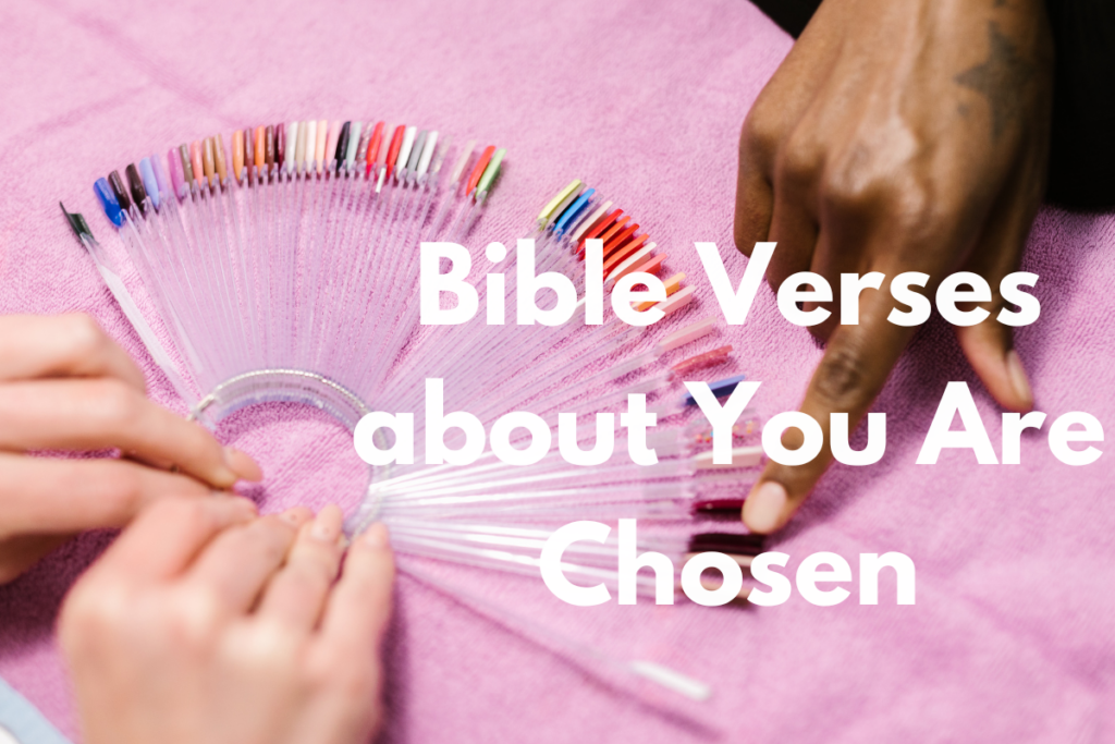 Bible Verses about You Are Chosen