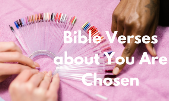 Bible Verses about You Are Chosen