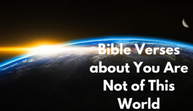 Bible Verses about You Are Not of This World