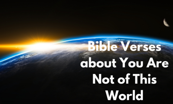 Bible Verses about You Are Not of This World