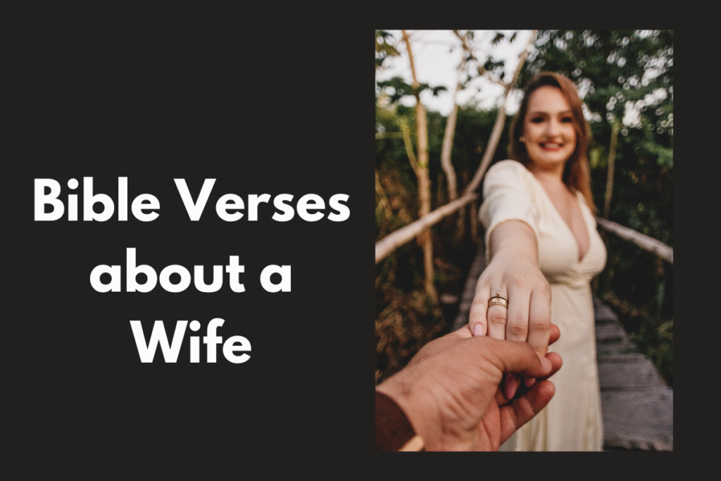 Bible Verses about a Wife
