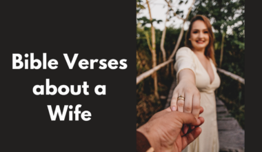 Bible Verses about a Wife