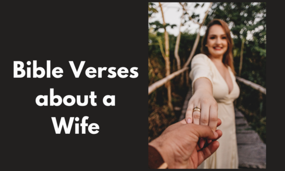 Bible Verses about a Wife