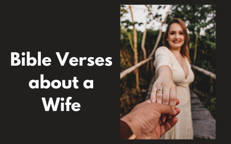 Bible Verses about a Wife