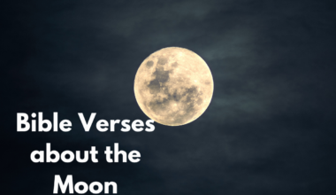 Bible Verses about the Moon