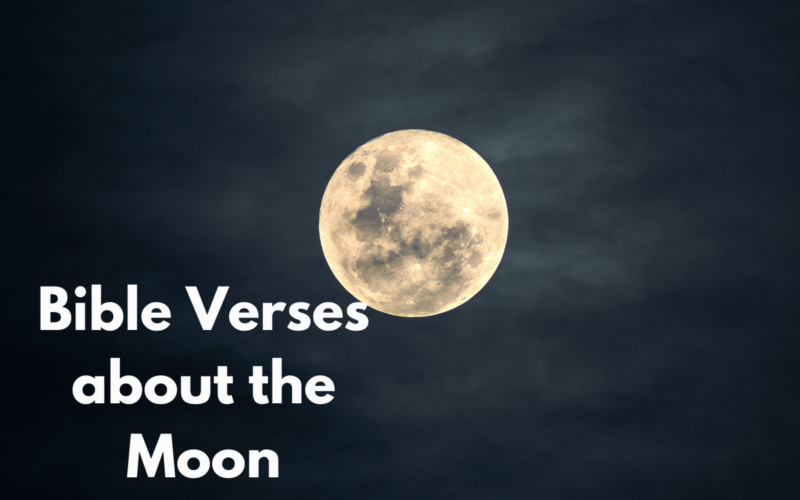 Bible Verses about the Moon