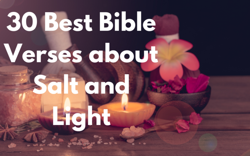 30 Best Bible Verses about Salt and Light