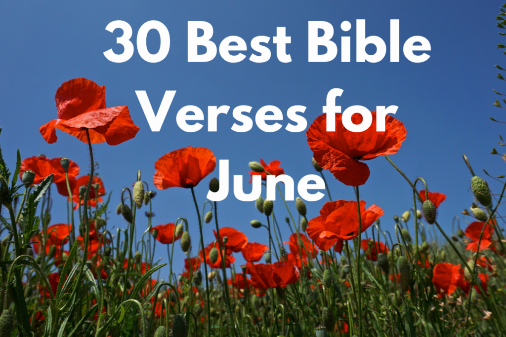 30 Best Bible Verses for June