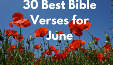 30 Best Bible Verses for June