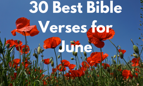 30 Best Bible Verses for June