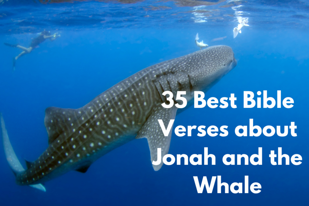 35 Best Bible Verses about Jonah and the Whale