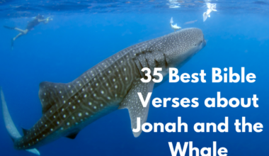 35 Best Bible Verses about Jonah and the Whale