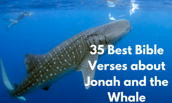35 Best Bible Verses about Jonah and the Whale