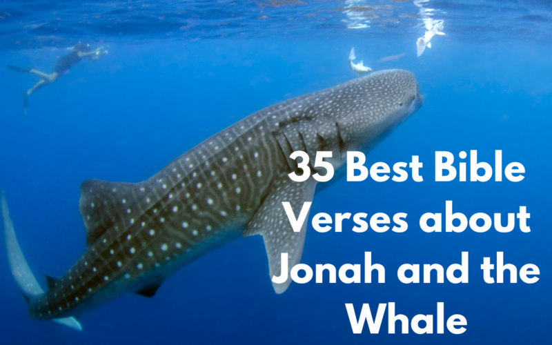 35 Best Bible Verses about Jonah and the Whale