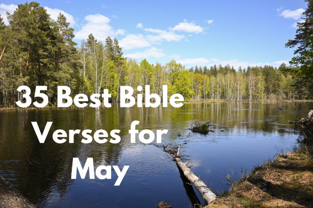 35 Best Bible Verses for May