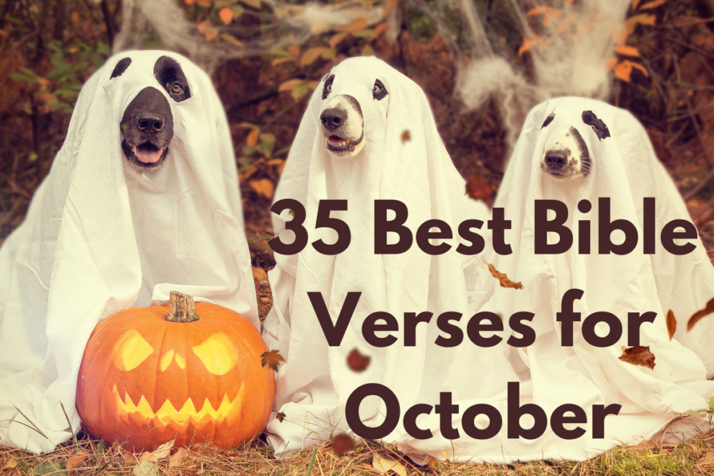 35 Best Bible Verses for October