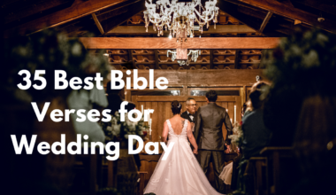 35 Best Bible Verses for Wedding Day