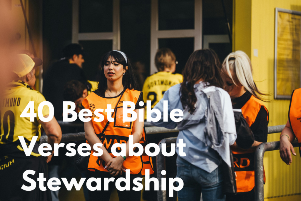 40 Best Bible Verses about Stewardship